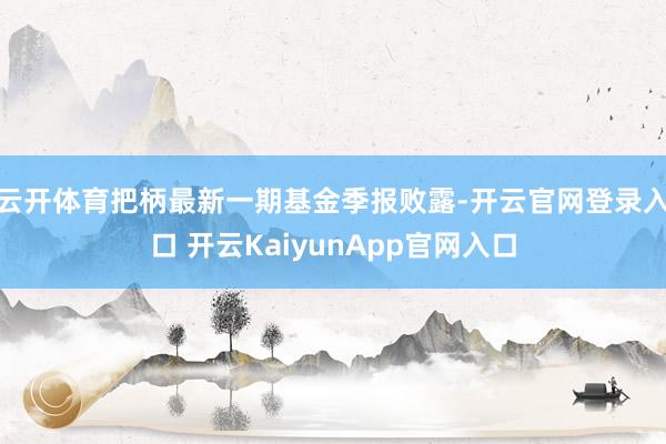 云开体育把柄最新一期基金季报败露-开云官网登录入口 开云KaiyunApp官网入口