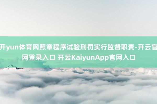 开yun体育网照章程序试验刑罚实行监督职责-开云官网登录入口 开云KaiyunApp官网入口