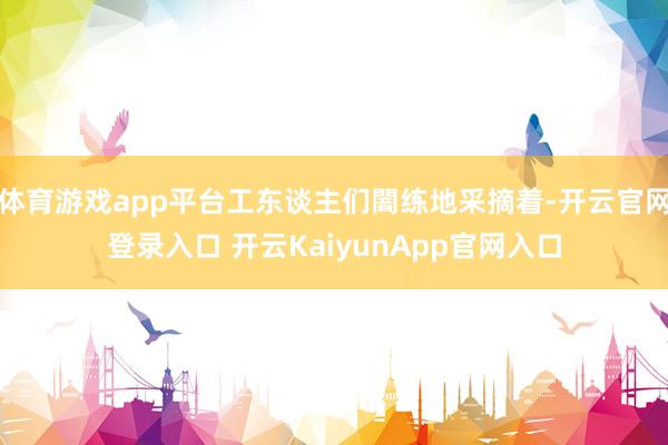 体育游戏app平台工东谈主们闇练地采摘着-开云官网登录入口 开云KaiyunApp官网入口
