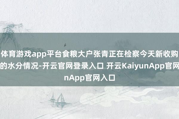 体育游戏app平台食粮大户张青正在检察今天新收购小麦的水分情况-开云官网登录入口 开云KaiyunApp官网入口